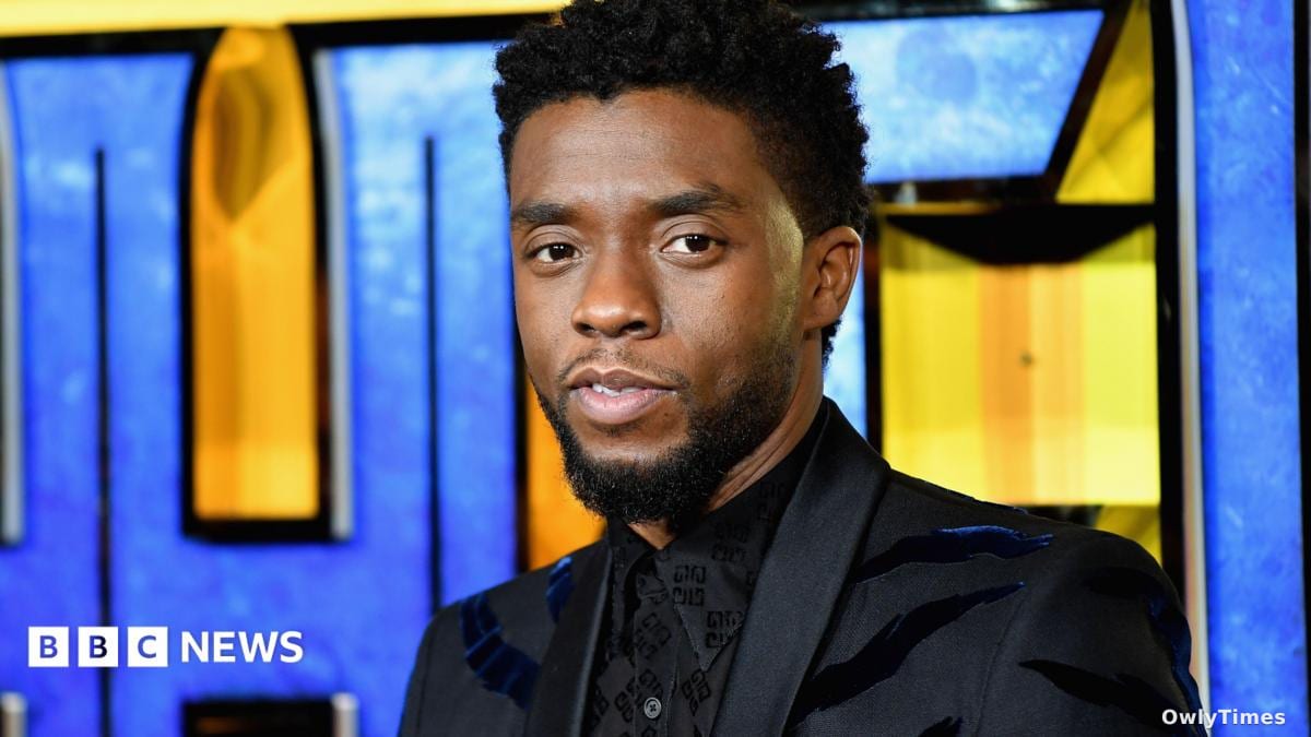 Marvel Faces Probate Legal Battle Over Future of Black Panther Series