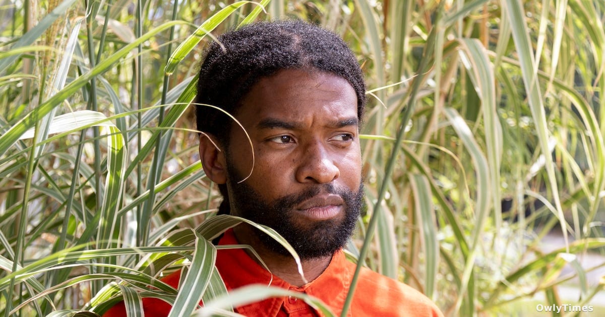 Eric Mack Returns to Whitespace Gallery With New Kai Garden Exhibit