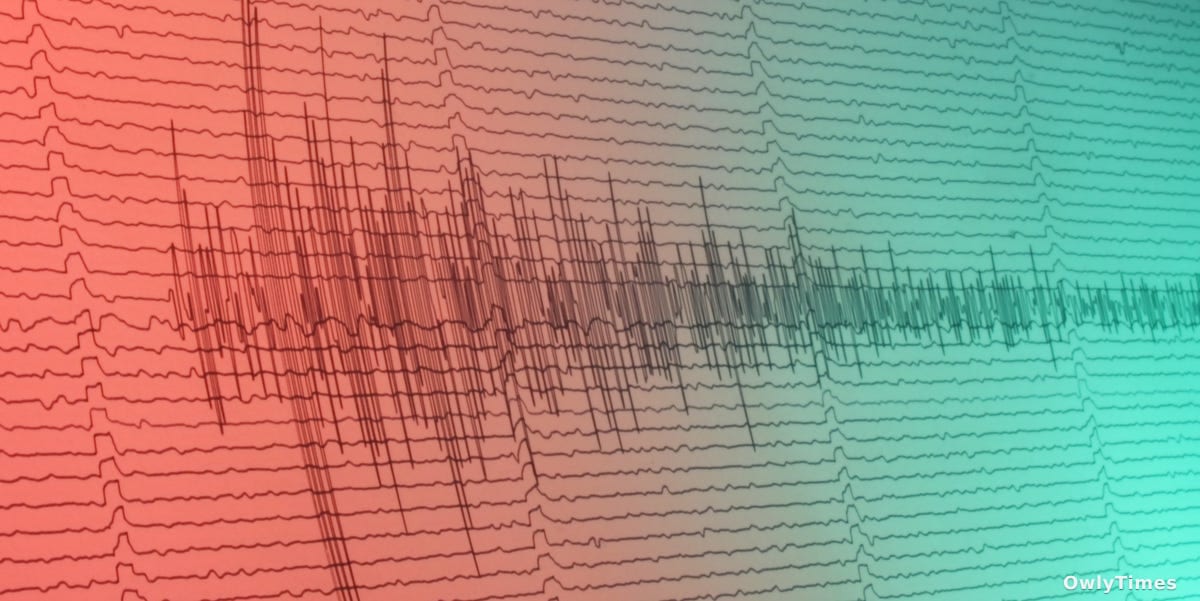 Earthquake Prediction: The Timing Problem Analysis