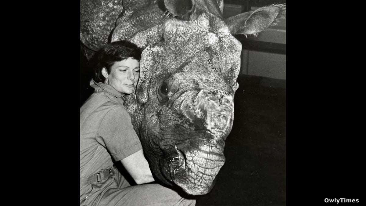 Rhino Reproduction Expert Nan Schaffer Dies at 72