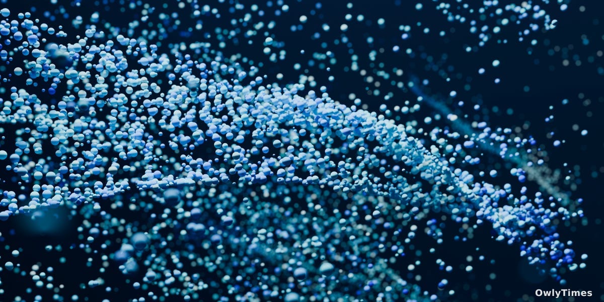 Anyons Signal Quantum Physics Shift in 1D Systems