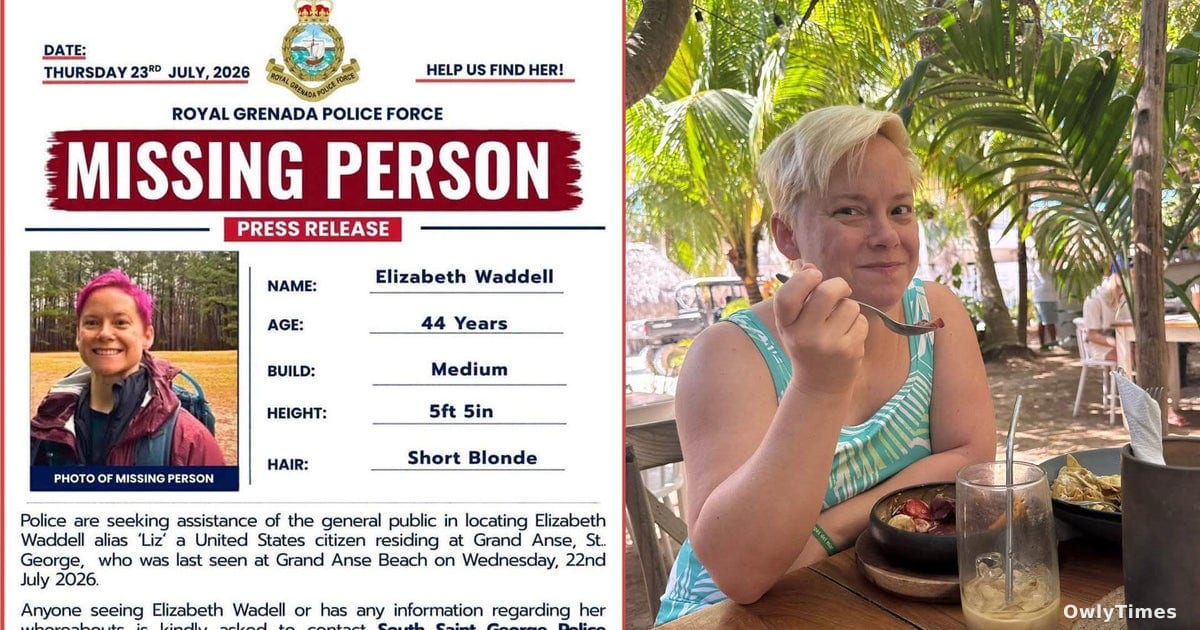 North Carolina Police Search for Missing Executive Liz Waddell