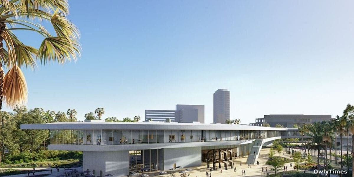 LACMA's Hyundai Deal: A Shift in Art's Funding?
