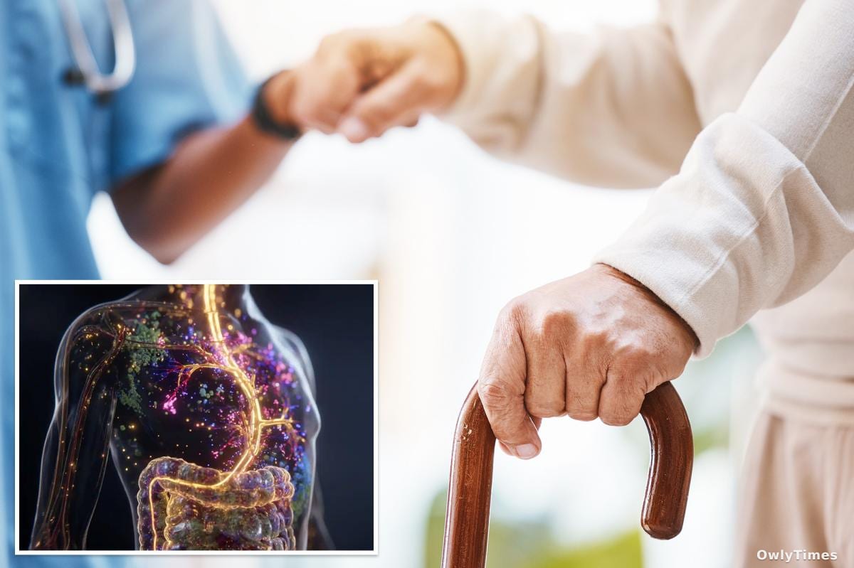 UCL Study Links Gut Bacteria to Parkinson’s Disease Onset