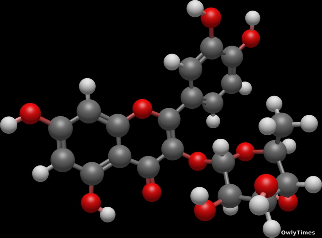 Flavonoids: New Analysis Reveals Health Impact of ‘Eat the Rainbow’