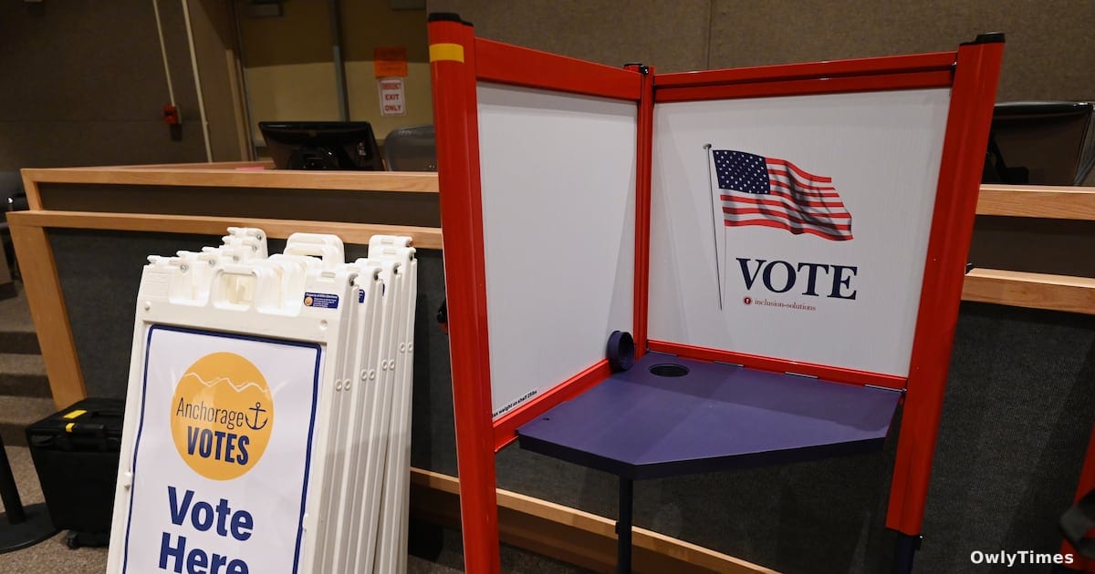 Anchorage Assembly: 2026 Power Plays in Local Races Analysis