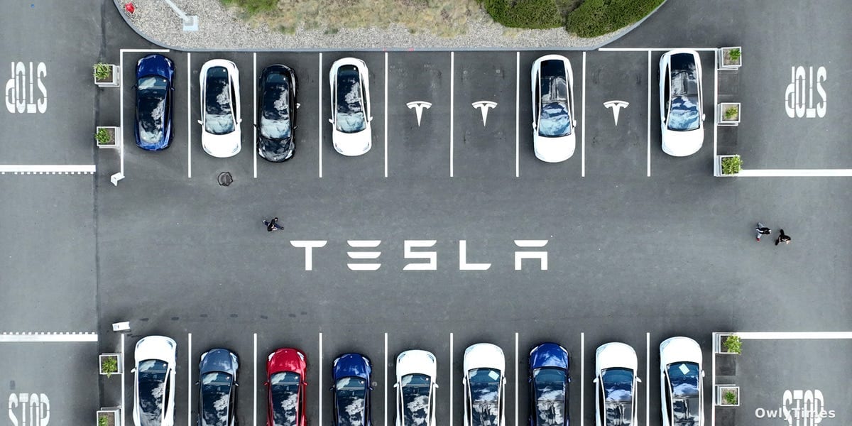 Tesla Signs Deal to Supply 50,000 EVs to Municipal Agencies