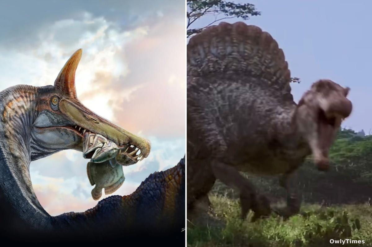 Spinosaurus Analysis: New Find Shifts Dino Predator View