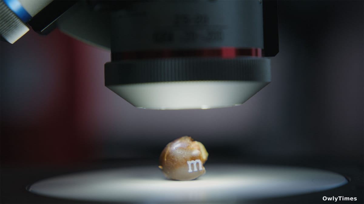 Nutella's Viral Buzz: Marketing's New Speed & Stakes