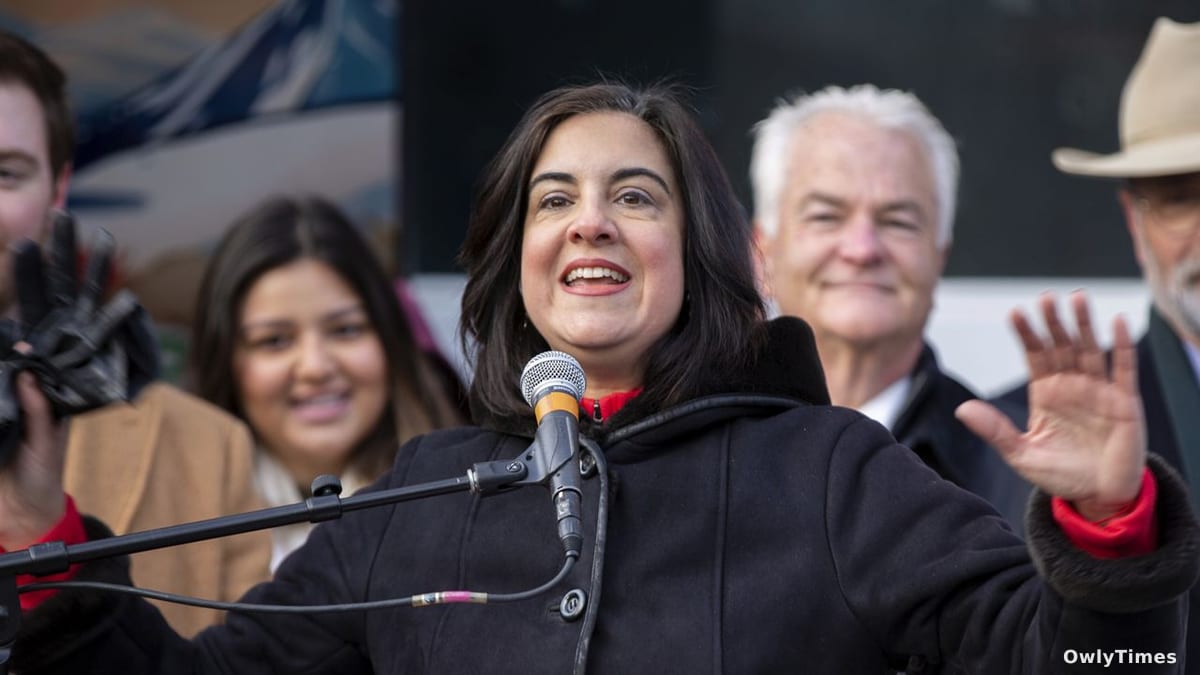 NY Map Redraw: Malliotakis Seat Targeted in Dem Power Play