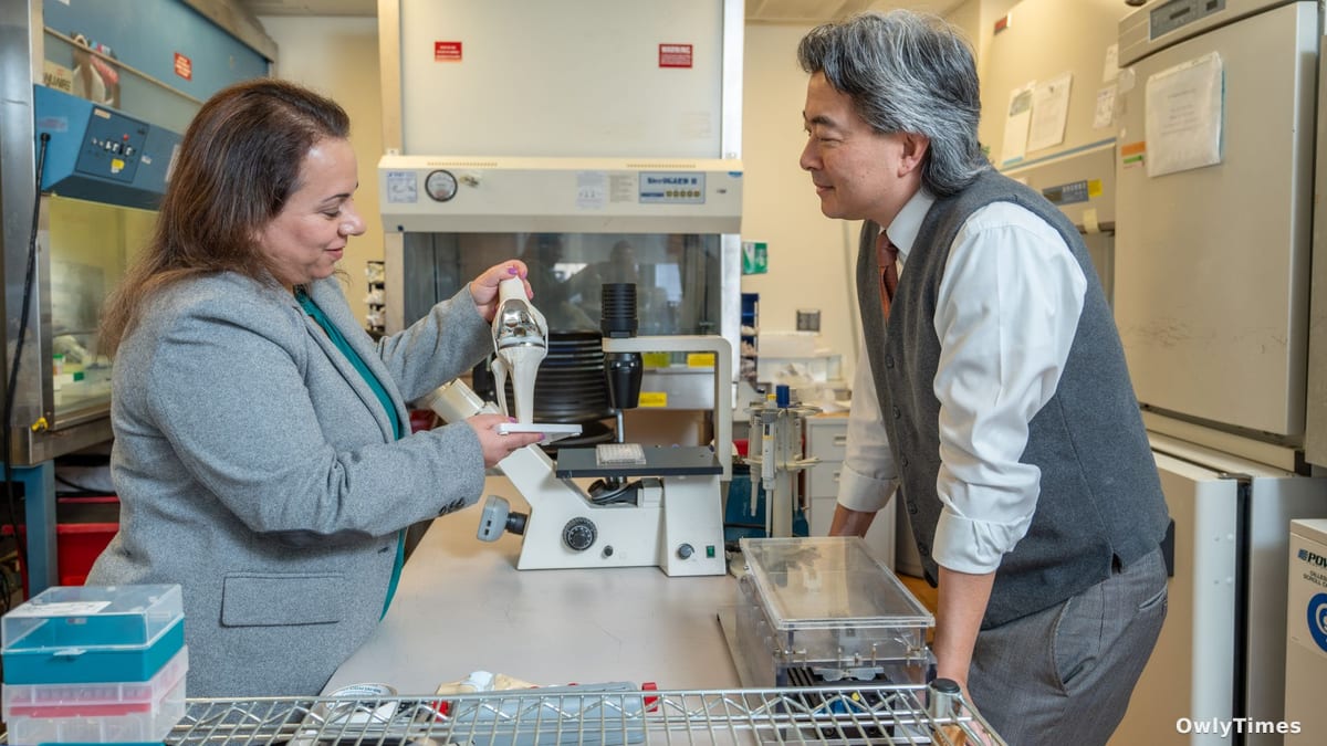 Researchers Test Living Knee Implants to Replace Metal Hardware
