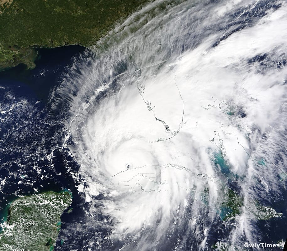 North Florida Trends: Growth, Sustainability & Shifting Stakes