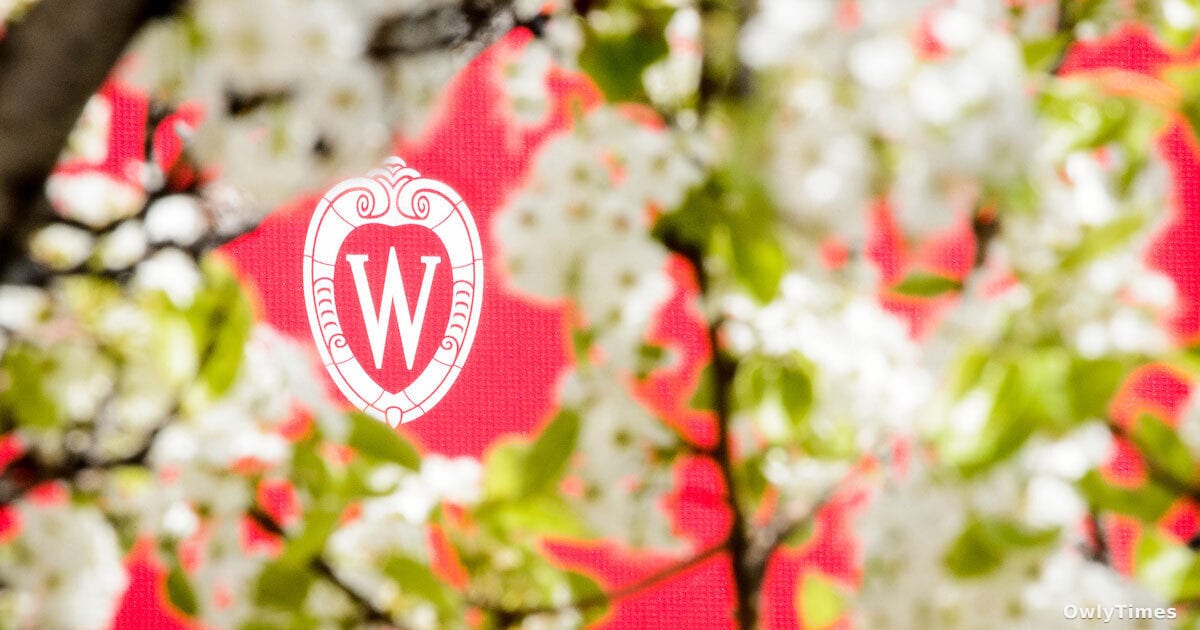 UW-Madison Announces 2025-26 L&S Academic Staff Career Awards