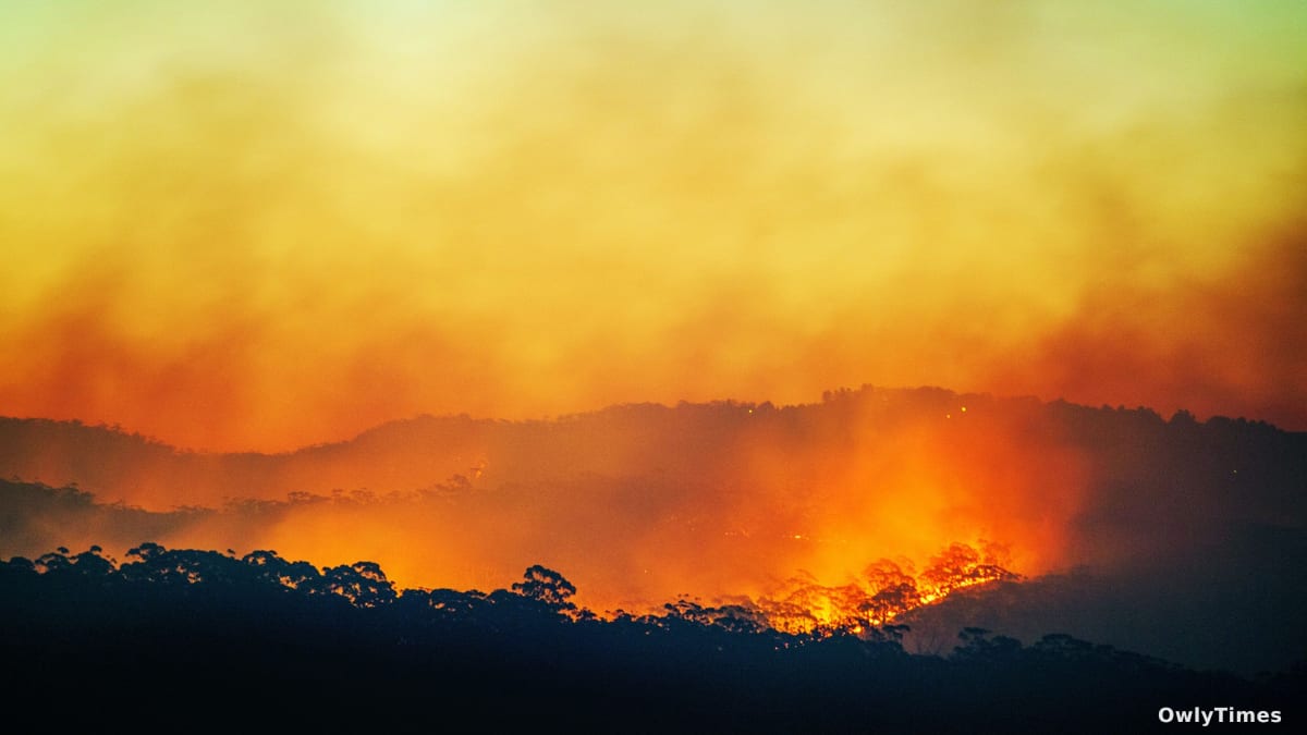 Record global heat to fuel century's strongest El Niño