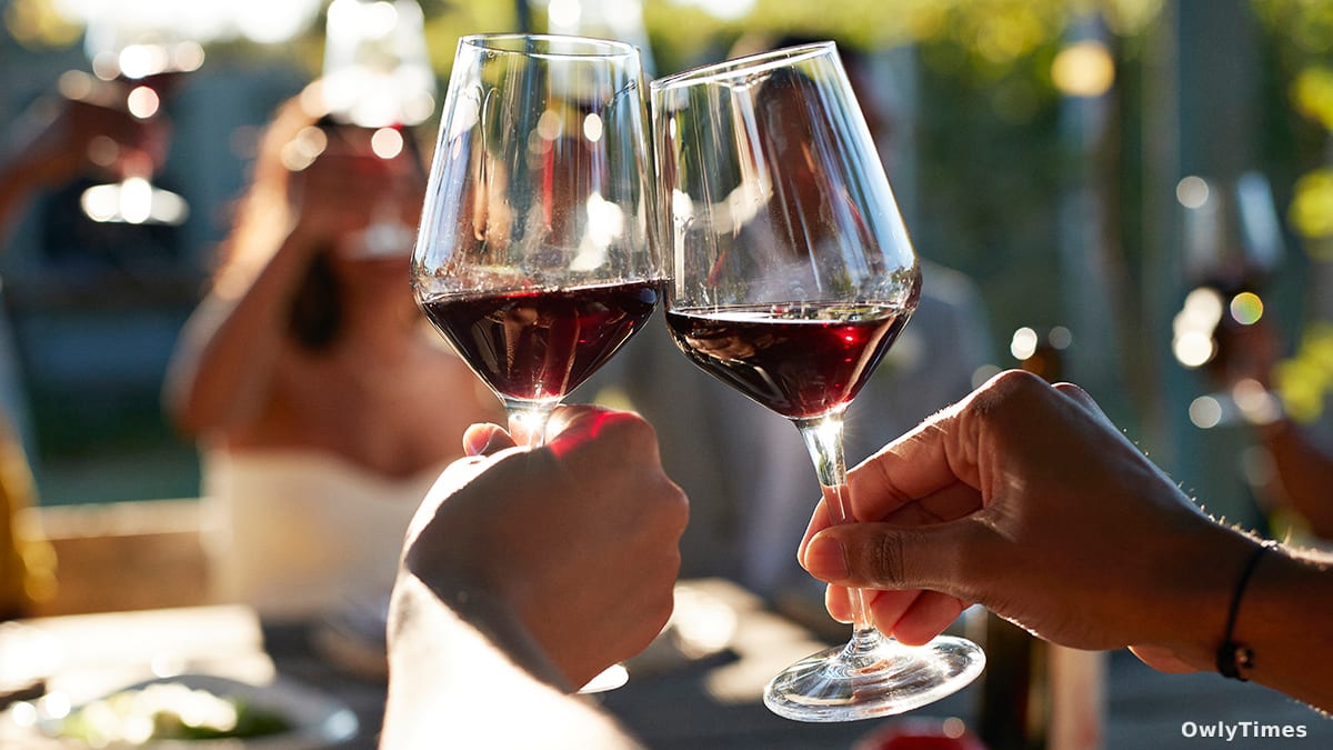 Alcohol's Impact: Brain Networks Shift, Study Reveals