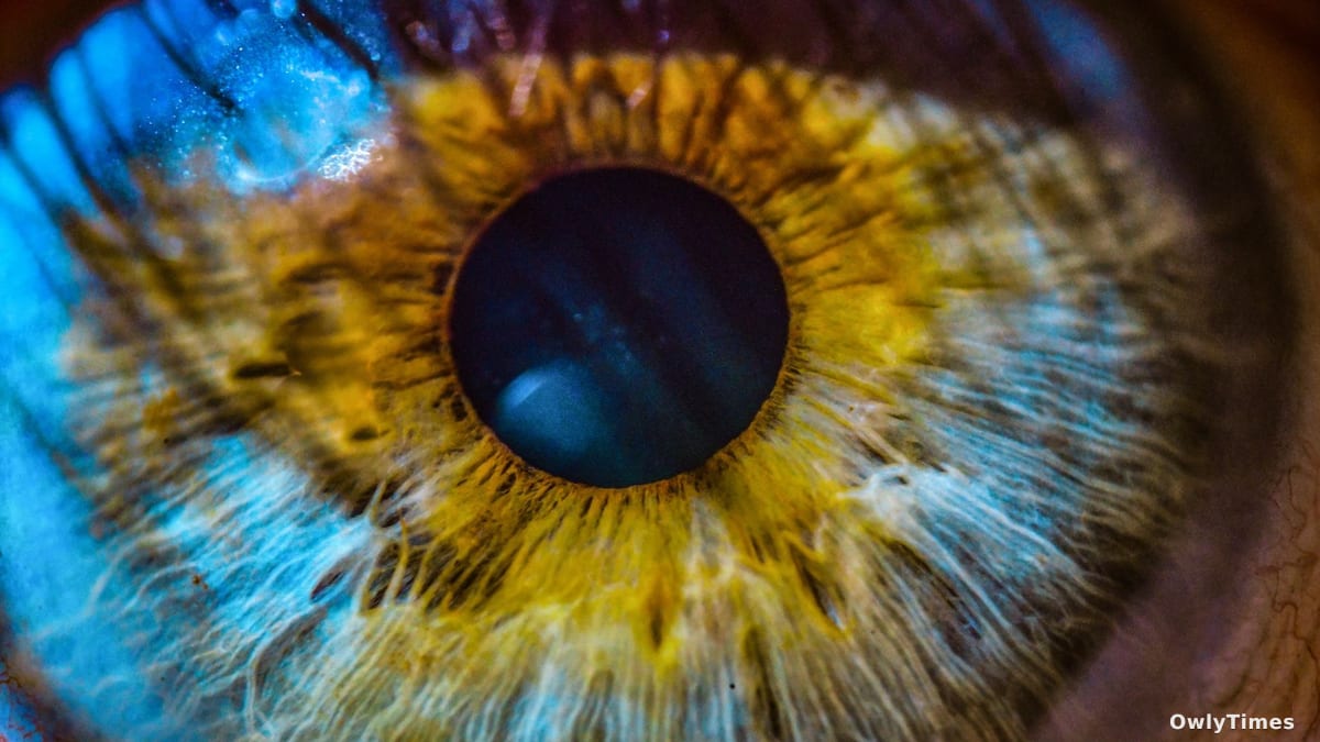 Genetic Risk: New Analysis Reveals Surprising Implications