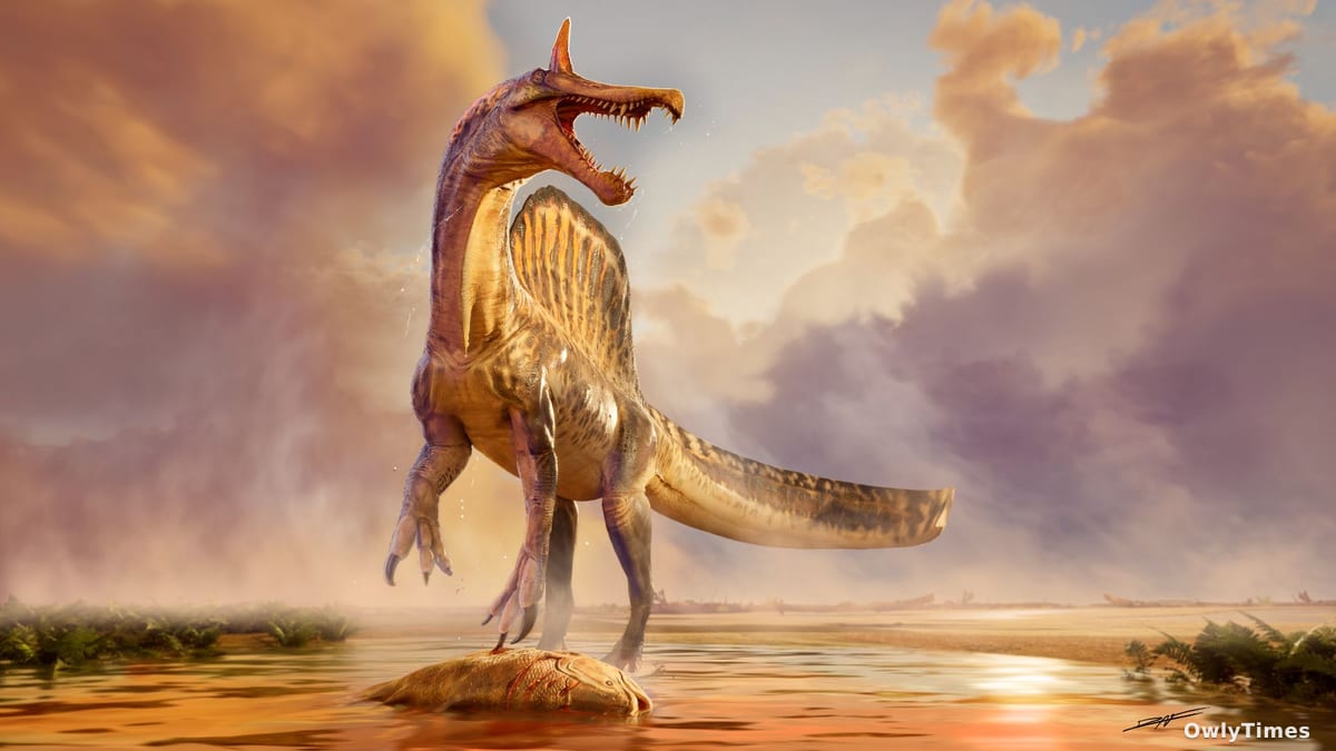 Spinosaurus Find: New Species Shifts Hunting Debate