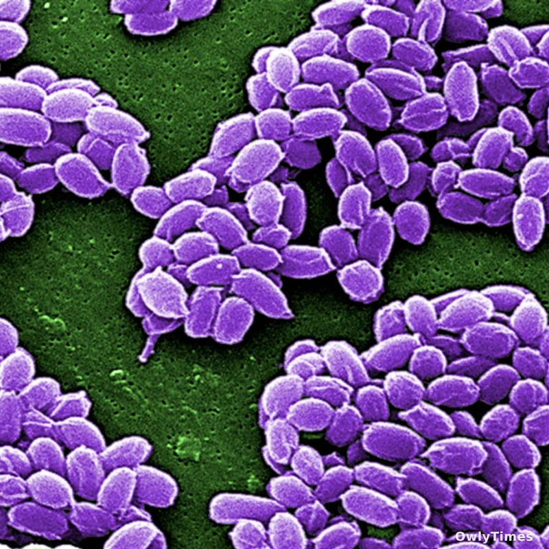 Taxonomy Debate: Logan's Legacy & the Future of Science Impact