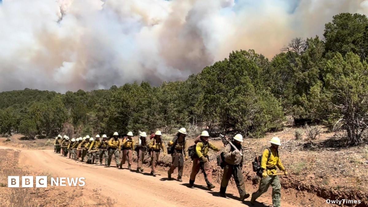 Human crews struggle as wildfires outpace AI climate modeling
