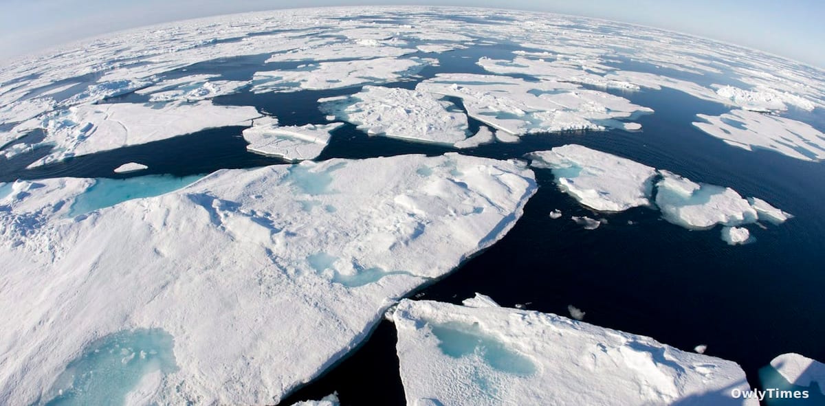 Canada's Arctic Science Cuts: A Looming Insight Gap