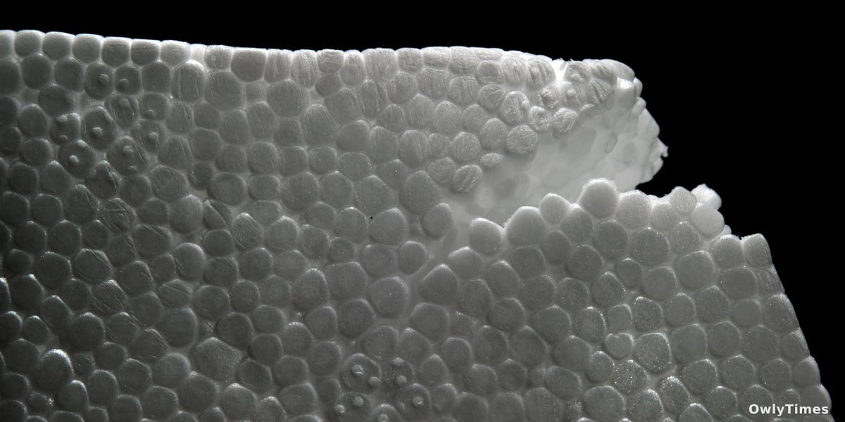 NYU Time Crystal: A New Matter State & Tech's Future?