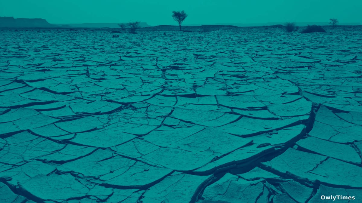 Climate Mobility: Funding Shifts from Relief to Proaction