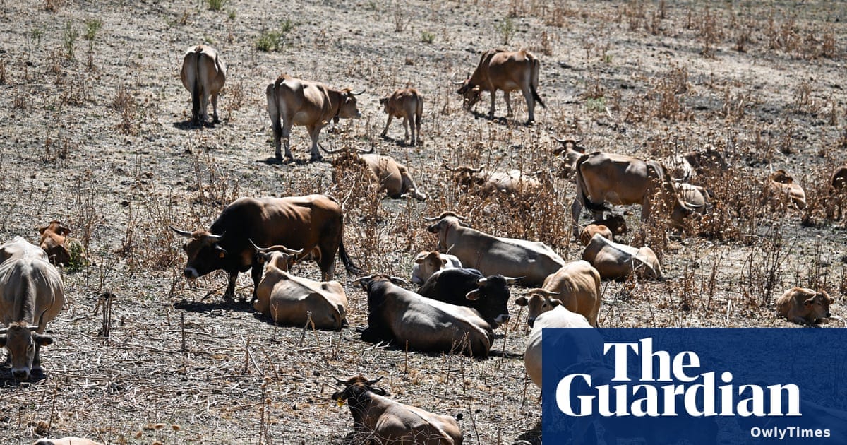 Western Europe Records Hottest June Ever Amid Calls for Adaptation