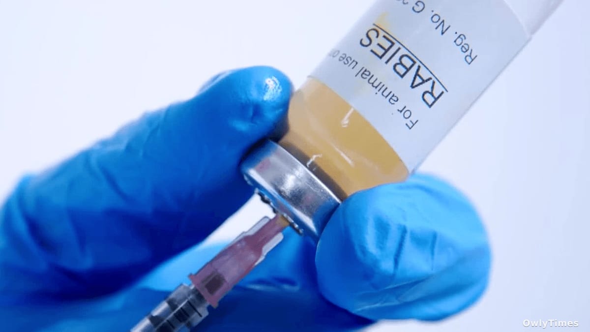 Maryland Rabies Signal: Habitat Loss & Rising Risk