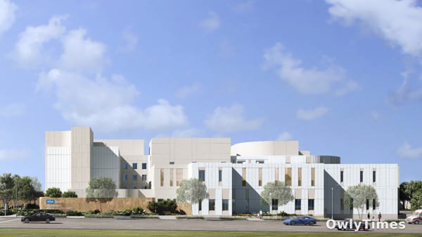 $100M Gift Signals LA Mental Health System's Strain: Analysis