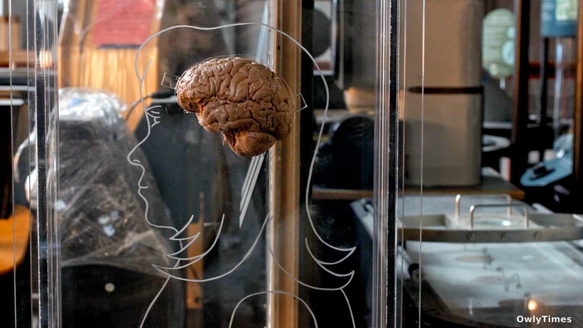 Metacognition: The Hidden Impact on Decisions & Wellbeing