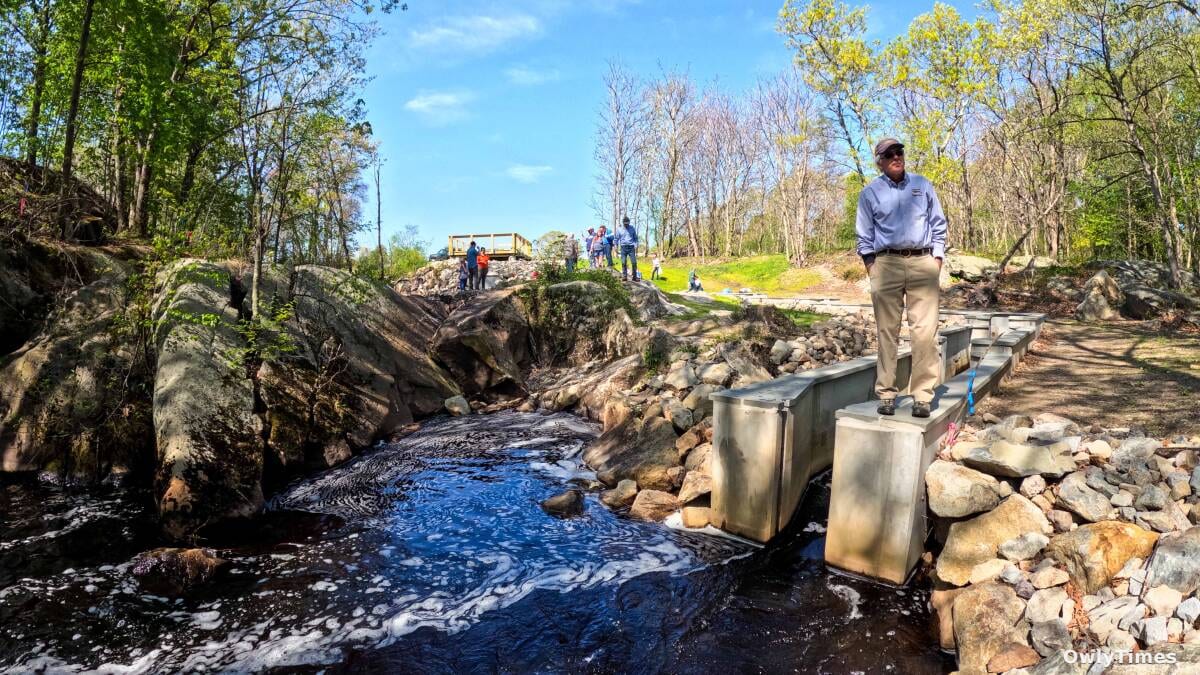 Harwich Reopens Herring Run to Public Harvesting on April 22