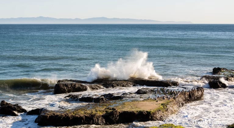 UC Ocean Science: A Policy Shift & What It Signals