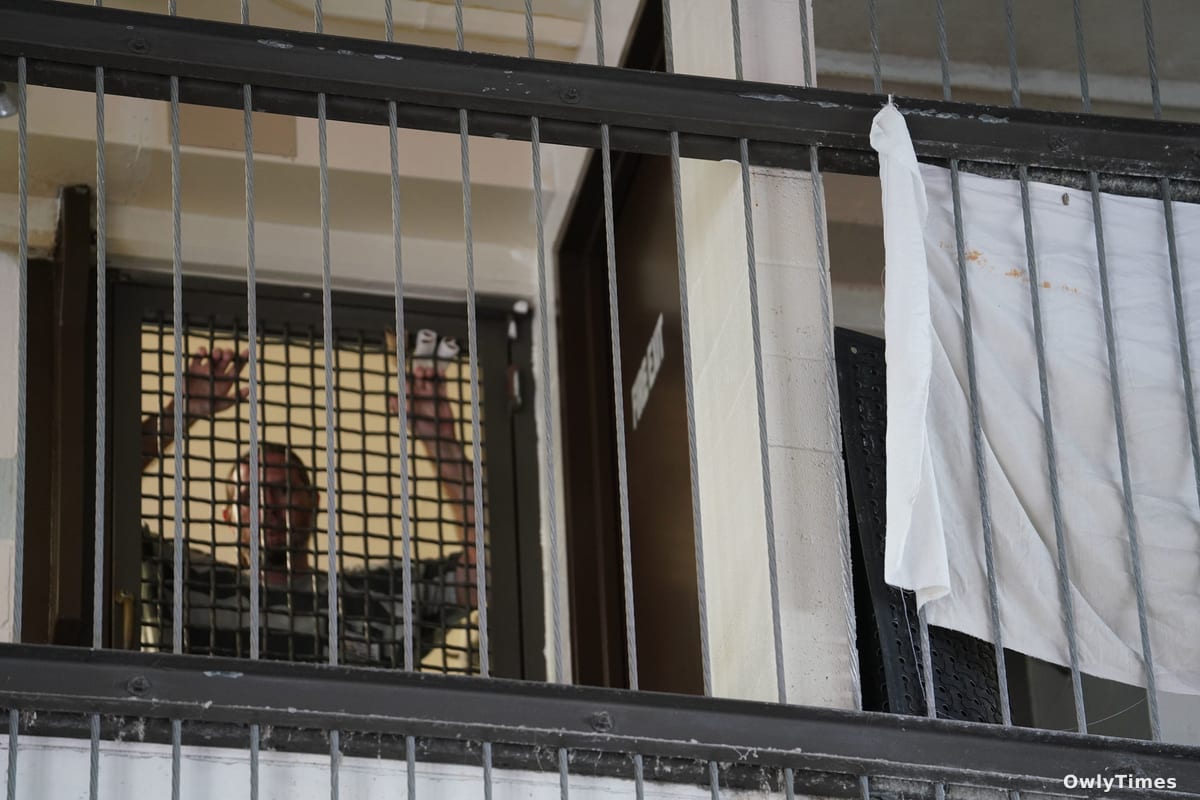 Hawaiʻi Prison Suicides: A System in Crisis – Analysis