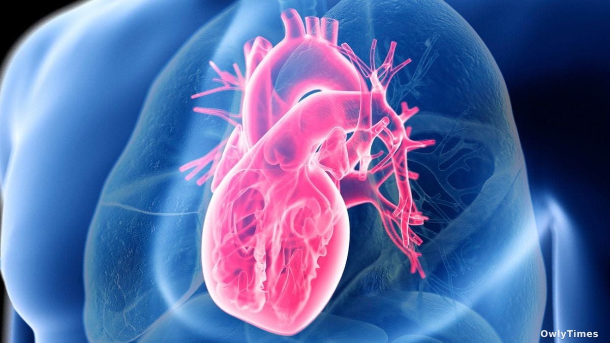 Heart Health Shift: Quality of Food, Not Just Less, Matters