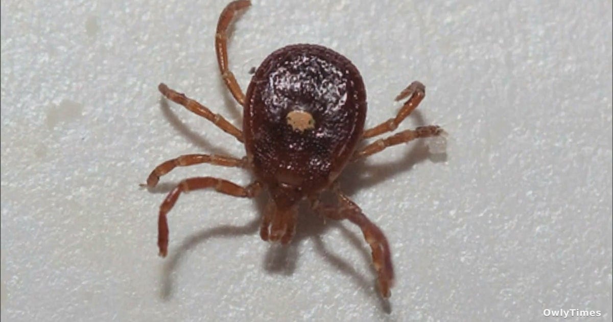 Annette Jackson Joins Michigan Patients Seeking Better Lyme Testing
