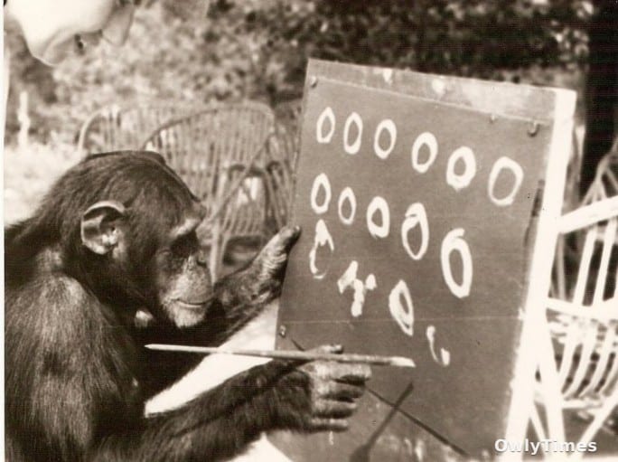 AI and Animal Studies Force Scientists to Rethink Human Intelligence