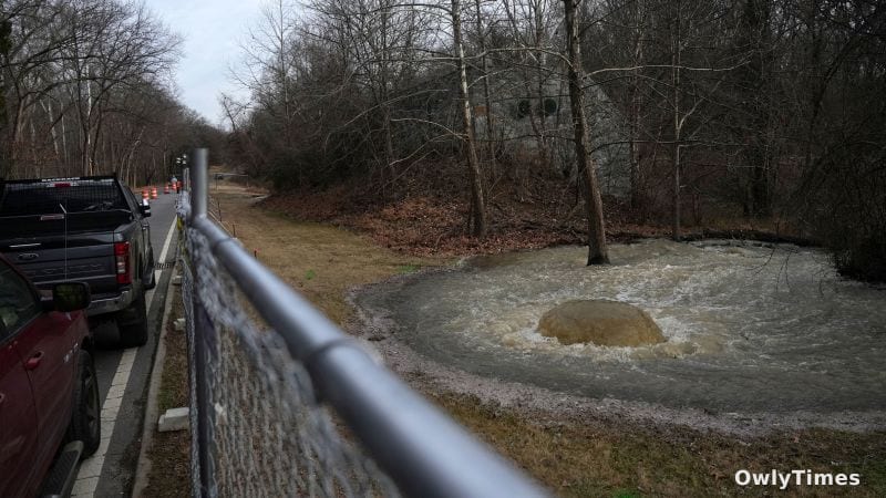 Potomac Sewage Spill: Trump's Role Signals Political Stakes