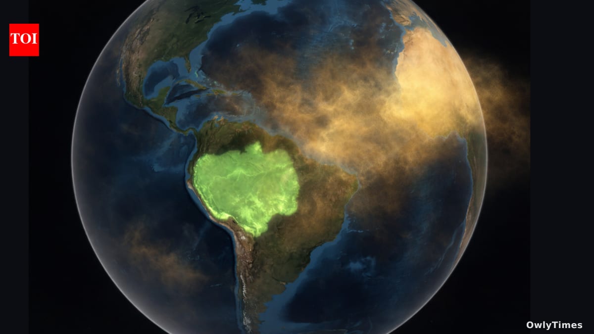 Amazon's Lifeblood: Sahara Dust's Vital Nutrient Impact