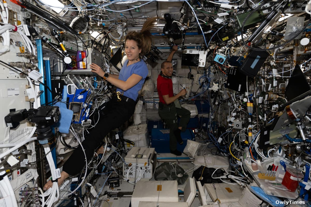 ISS Expedition 74 Crew Begins Testing Stem Cell Growth in Orbit