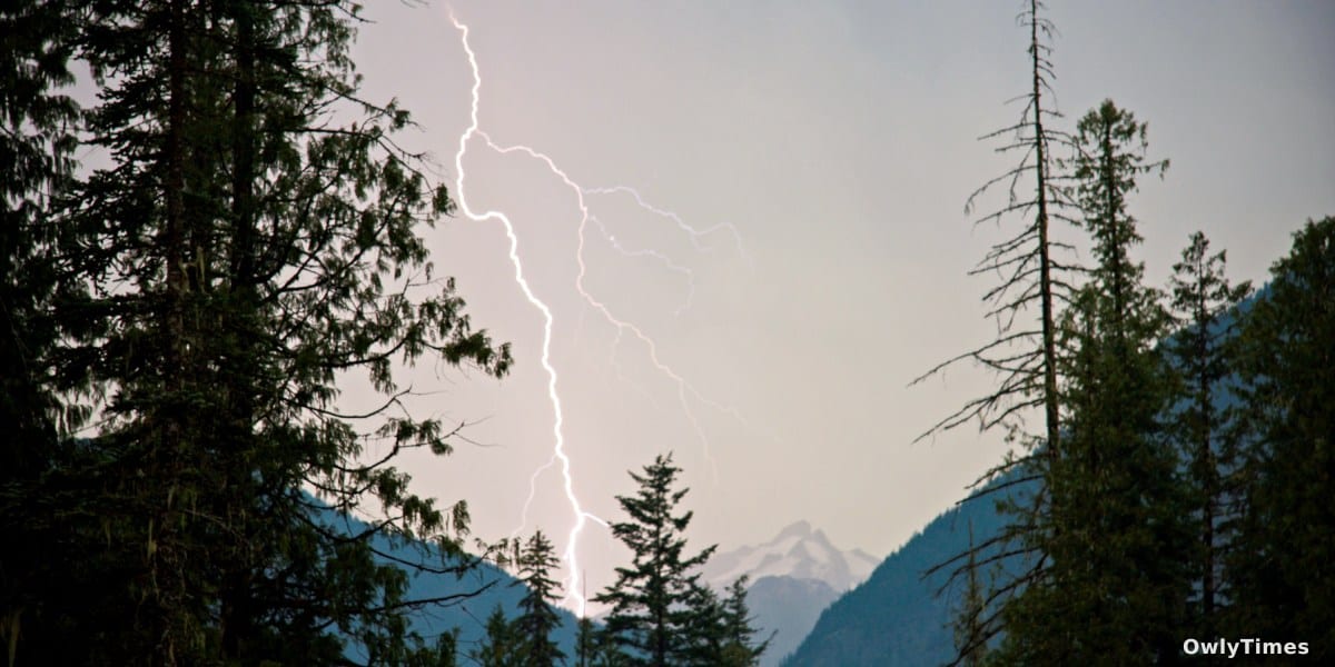 Lightning Strikes: Wildfire Season's Alarming Signal