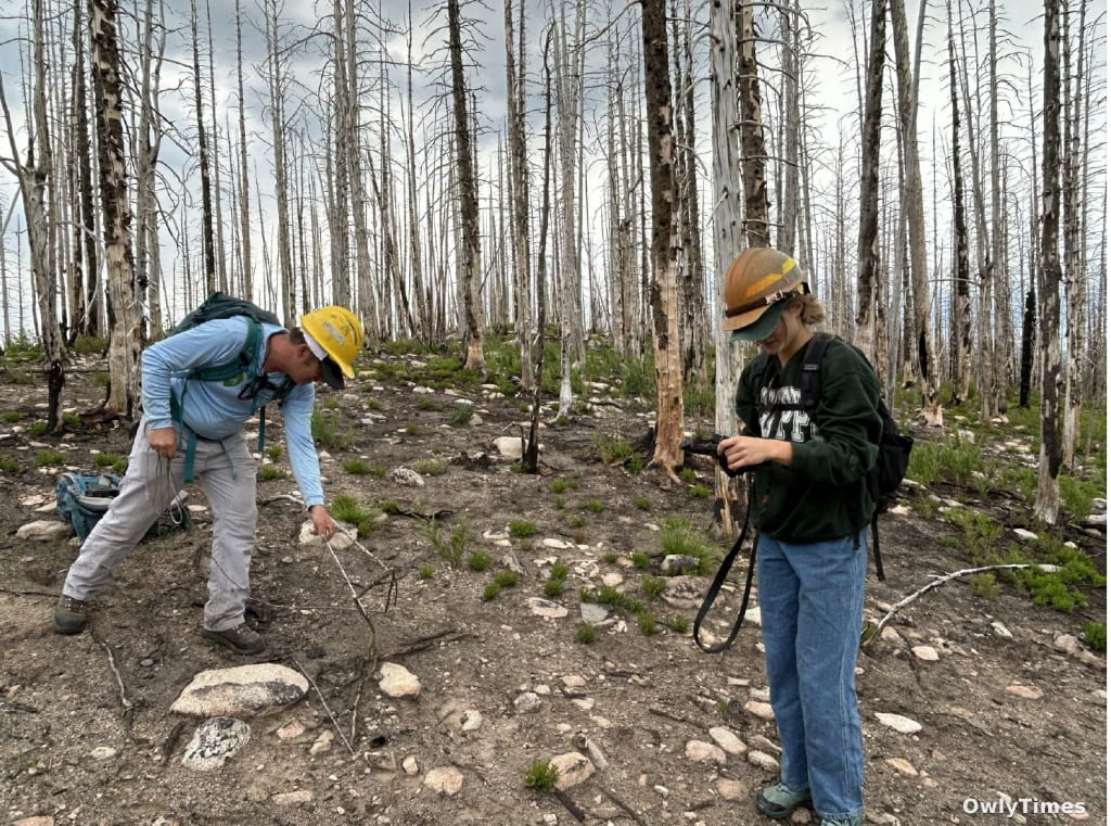 Routt County Grants: Conservation Priorities Shift Westward