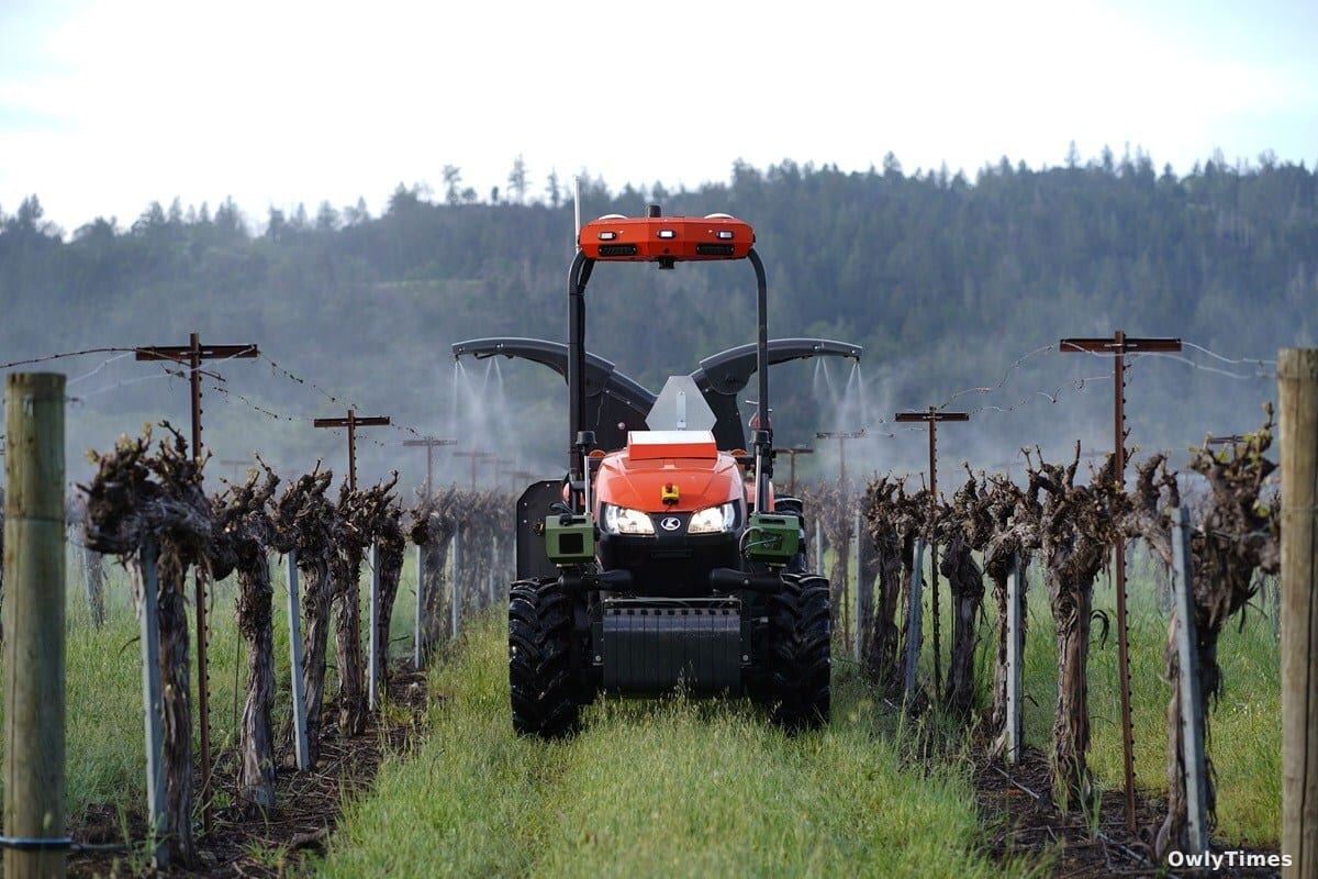 Farmers use AI in muddy orchards while tech giants debate chatbots