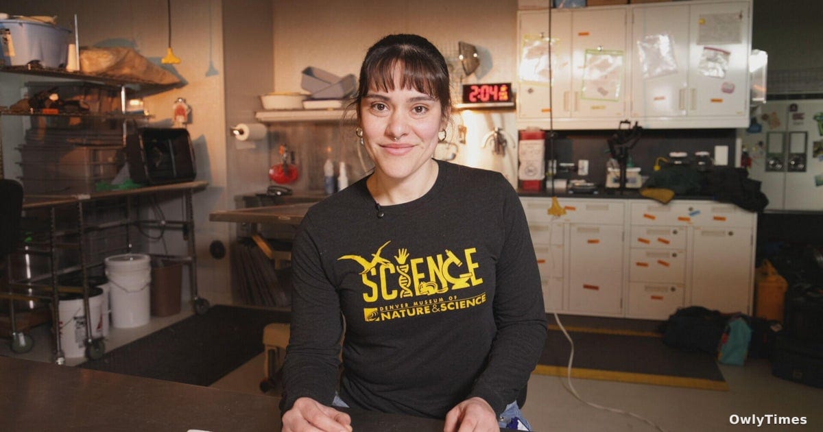 Museum Prep Work: The Hidden Labor Fueling Science