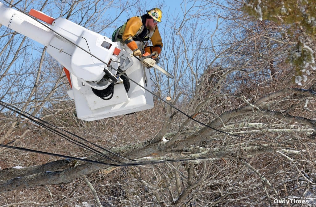 Cape Cod Outage: Economic Stakes of a Systemic Flaw