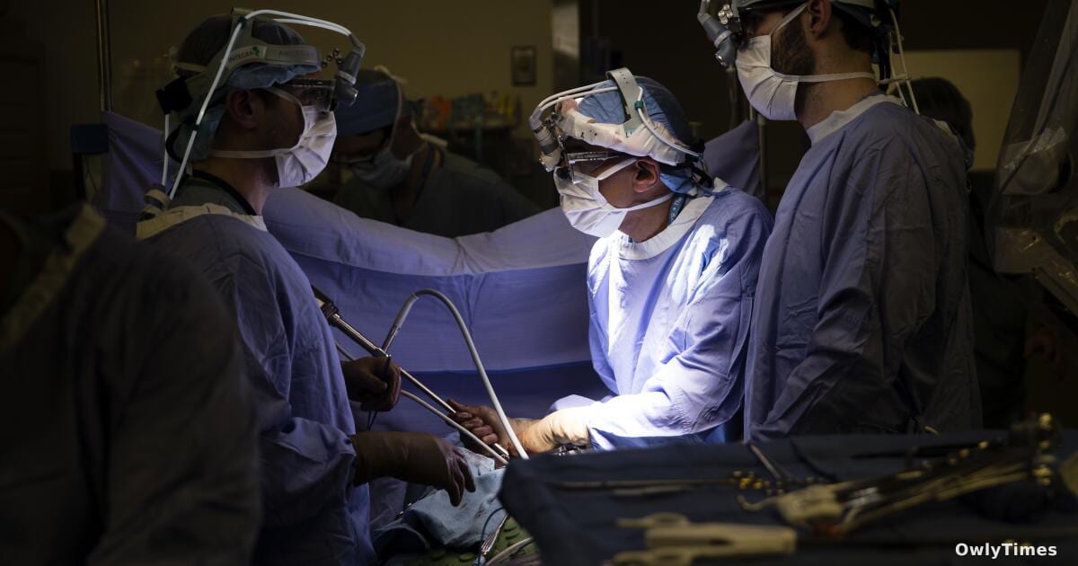 Healthcare Costs: Tax Policy's Hidden Impact – Analysis