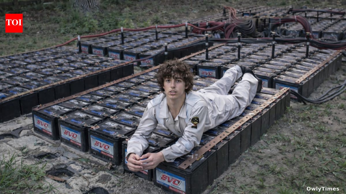 Backyard Battery Hack: The Energy Storage Shift?