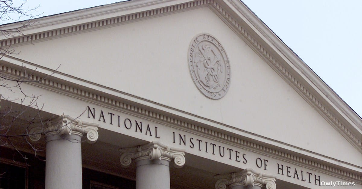 NIH Funding: Analysis of the New Grant Cliff's Impact
