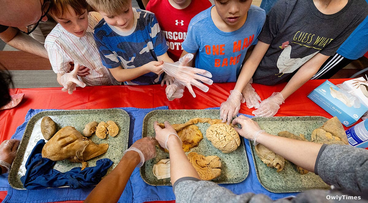 Morgridge Institute Hosts Exploration Stations at UW–Madison