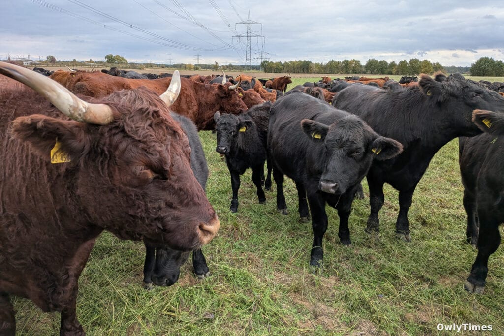 Farm Climate Shift: Farmer Health Stakes Rise