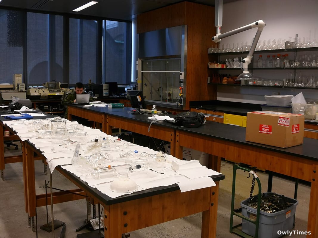 NSF Awards 2026 Graduate Research Fellowships to Next Gen Scientists